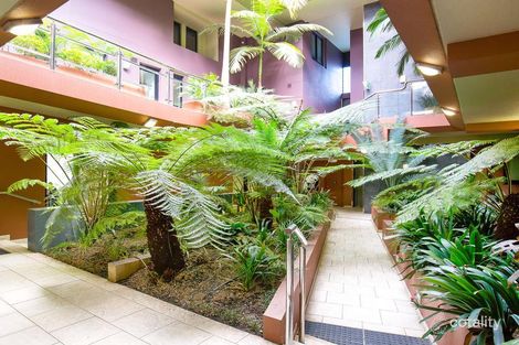 14/74 Jarrett St, Leichhardt, NSW 2040