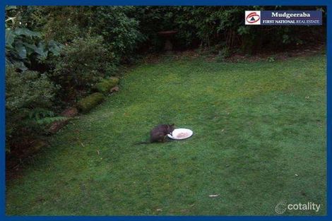 Property photo of 10 Canyon Parade Springbrook QLD 4213