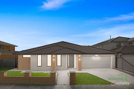 19 Distinction Ave, Craigieburn, VIC 3064