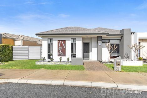 Property photo of 14 Pomelaa Way Clarkson WA 6030