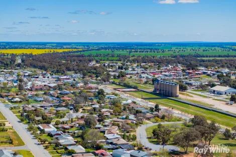 Property photo of 69 Stinson Street Coolamon NSW 2701