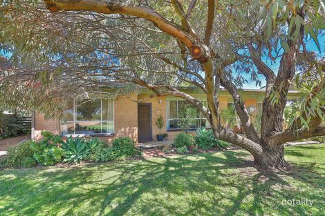 Property photo of 368 Cocklin Avenue Red Cliffs VIC 3496