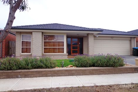 Property photo of 34 Arrowgrass Drive Point Cook VIC 3030