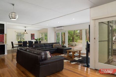 Property photo of 5 Silverleaves Avenue Silverleaves VIC 3922