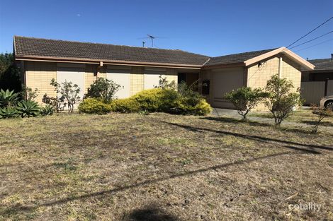 Property photo of 19 Taggerty Crescent Meadow Heights VIC 3048