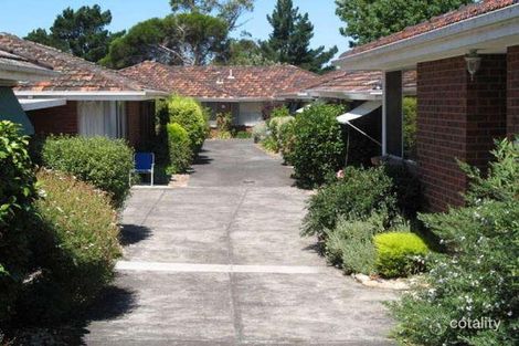Property photo of 4/28 Tulip Grove Cheltenham VIC 3192