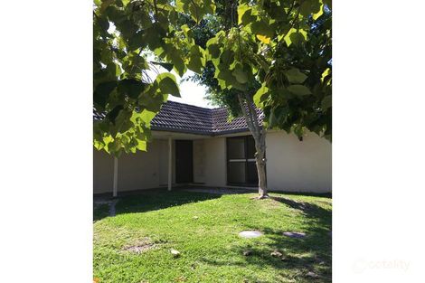 Property photo of 195 Cotlew Street Ashmore QLD 4214