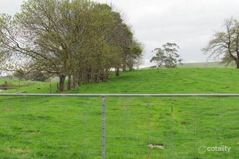 211 Mountain View Rd, Mountain View, VIC 3988