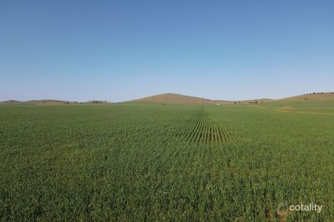 274e Melrose Rd, Pekina, SA 5431