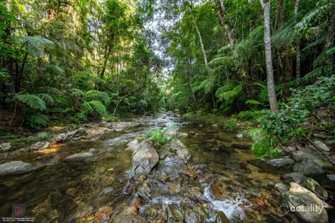 Property photo of 120 Davis Road Garradunga QLD 4860