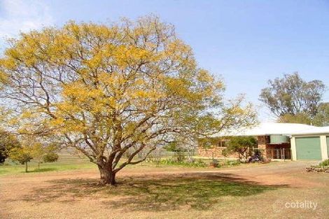 Property photo of 452 Doolan Road Nobby QLD 4360
