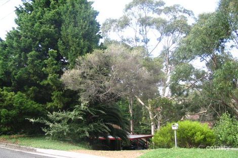 Property photo of 9 Celosia Place Loftus NSW 2232