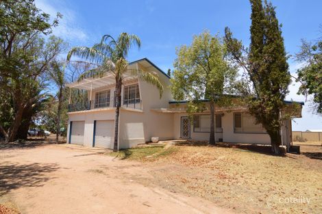 Property photo of 58 Fitzroy Avenue Red Cliffs VIC 3496