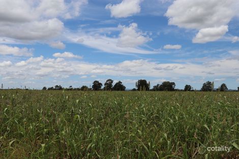 Property photo of 165 Cranston Road Alton Downs QLD 4702