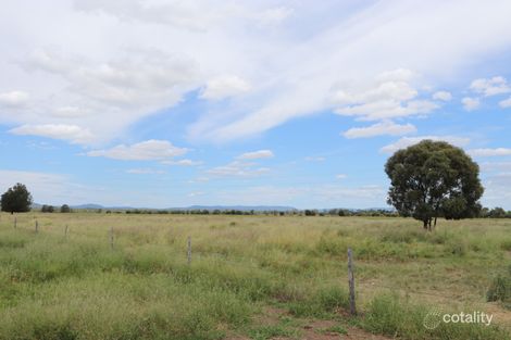 Property photo of 165 Cranston Road Alton Downs QLD 4702