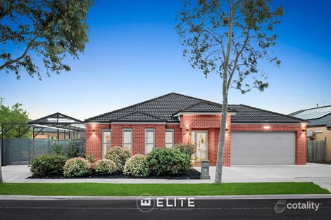 Property photo of 144 Alisma Boulevard Cranbourne North VIC 3977