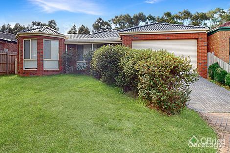 Property photo of 19 Haydn Place Narre Warren South VIC 3805