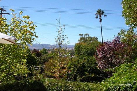 Property photo of 8 Snape Street Quirindi NSW 2343