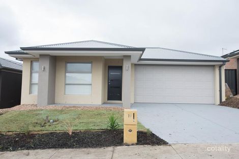 19 Calibre Ave, Craigieburn, VIC 3064