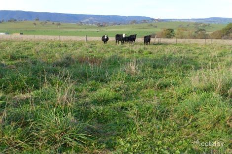 Property photo of 155 Crescent Orchard Road Gemalla NSW 2795
