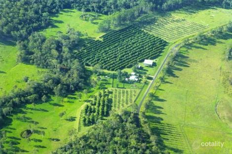 45 Talegalla Dr, Talegalla Weir, QLD 4650