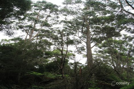 Lot 4 Hilders Rd, Irishtown, TAS 7330