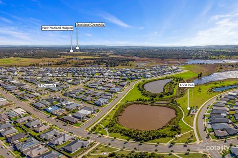 Property photo of 39 Dragonfly Drive Chisholm NSW 2322