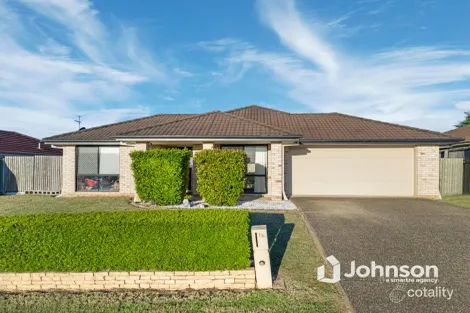 Property photo of 16 Wattle Crescent Raceview QLD 4305