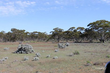 401 Mount Eagle Rd, Keyneton, SA 5353