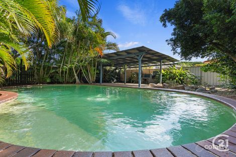 Property photo of 229 Whitehill Road Raceview QLD 4305