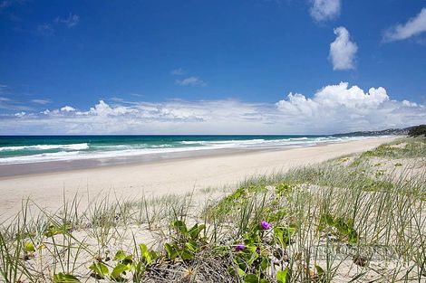 Property photo of 44 Redwood Avenue Marcus Beach QLD 4573