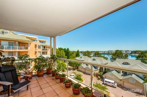 14/162f Burwood Rd, Concord, NSW 2137