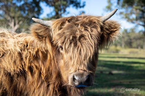 Property photo of 125 Boulton Drive Paterson NSW 2421