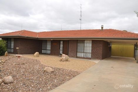 4 North East Tce, Morgan, SA 5320