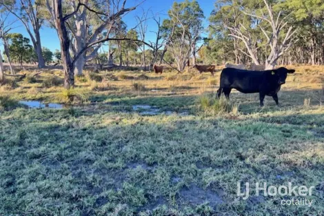296 Limestone Rd, Ashford, NSW 2361