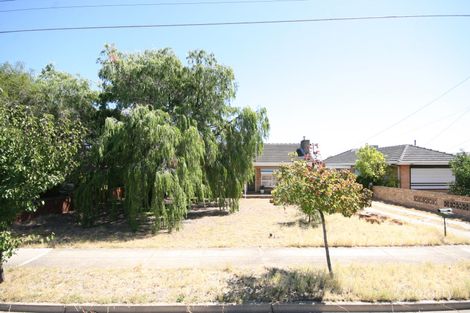 Property photo of 40 Shelley Avenue Netley SA 5037