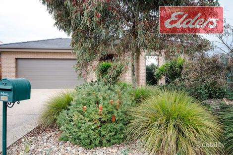 20 Redgum Ct, East Albury, NSW 2640