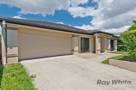 Property photo of 8 Suelin Street Boondall QLD 4034