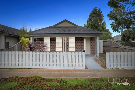 Property photo of 24 Walhalla Drive Eynesbury VIC 3338