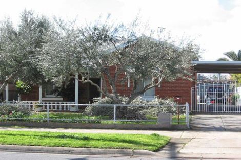 Property photo of 5 Frederick Street Welland SA 5007