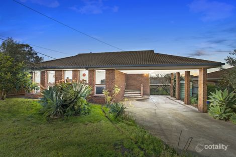 Property photo of 33 Cranmere Avenue Belmont VIC 3216