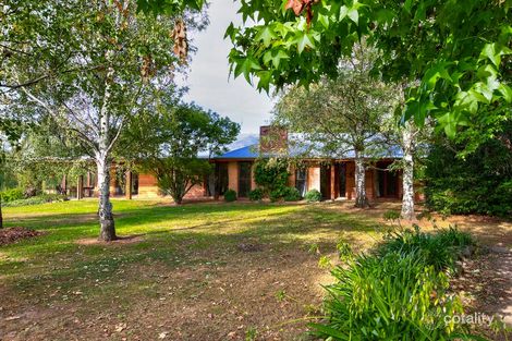 3104 Jingellic Rd, Lankeys Creek, NSW 2644