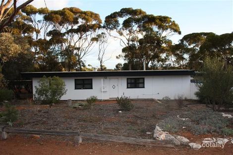 17 Nickeltown Cres, Kambalda East, WA 6442