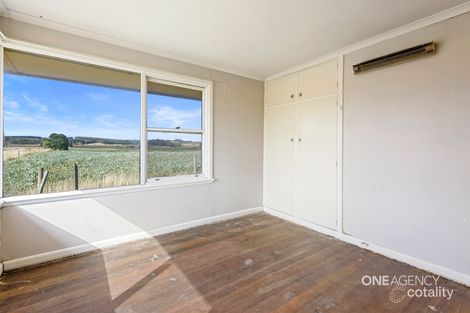 Property photo of 161 Comeback Road Redpa TAS 7330