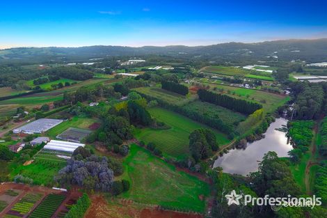 Property photo of 155 Macclesfield Road Monbulk VIC 3793