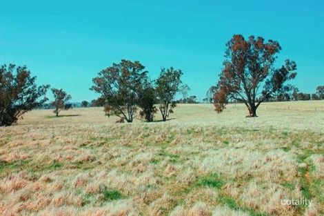 826 Hughstonia Rd, Boorowa, NSW 2586