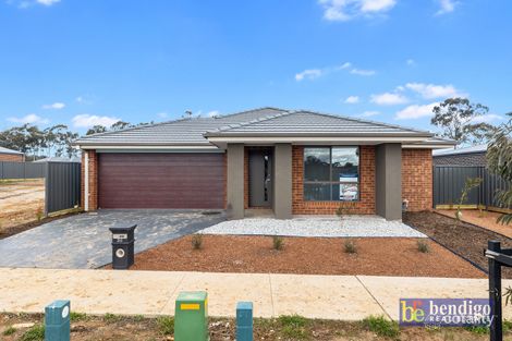 Property photo of 20 Eucalyptus Street Jackass Flat VIC 3556