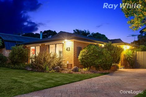 Property photo of 43 Cavendish Avenue Wantirna VIC 3152