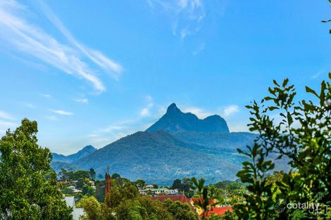 Property photo of 32 Ewing Street Murwillumbah NSW 2484