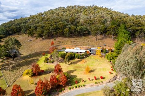 339 Buffalo River Rd, Buffalo River, VIC 3737